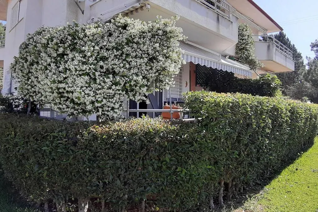 Kleo House Kalives Polygyros Halkidiki Villa Kalyves Polygyrou Holiday home
